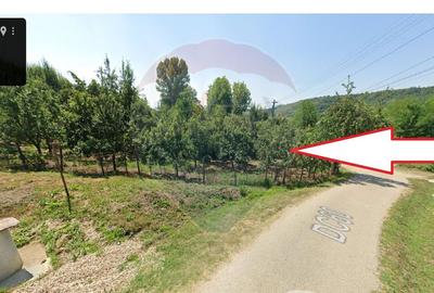 Teren intravilan 1.736 mp Chițești- Bogați (AG), deschidere la asfalt - 7