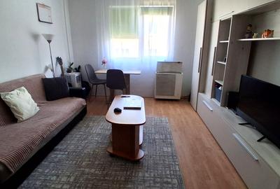 Garsoniera de vanzare, Dambul Rotund, 22 mp - 3