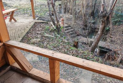 Casa 4 camere libera la vanzare, pozitie deosebita VULCAN - 32