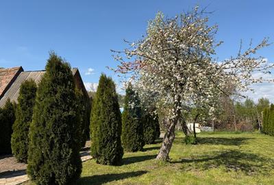 Casă cu 3 camere, gata de mutat - 3