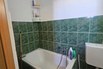 Camera de Camin suprafata 20mp cu baie proprie si bucatarie - 12