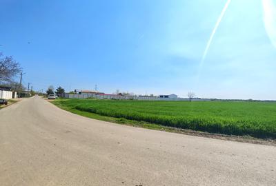 Teren intravilan | Dragomiresti Vale | Sat Zurbaua IF | INVESTITIE - 6