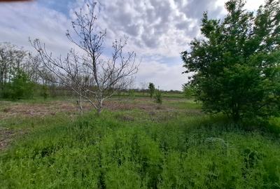 Teren construibil - 5