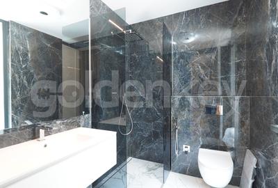 Apartament 4 camere, 4 bai | gradina exclusiva 132mp | vsv Parc Herastrau - 16