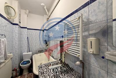 Apartament 2 camere de închiriat – Câmpia Islaz, Craiova - 10
