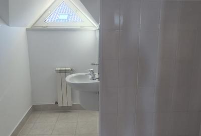 Vila individuala Iancu Nicolae - British School - 36