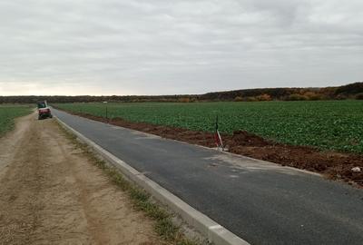 TEREN 570 mp - Calul Balan/LAC/ PADURE/Buftea(loturi)PROPRIETAR - 5