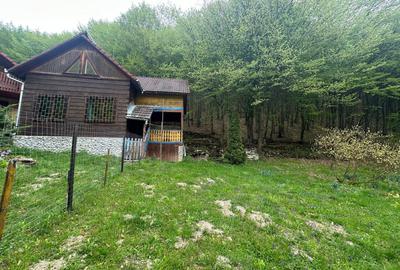 Cabana 5 camere, 75 mp| teren 900 mp| zona Iezer Ighiel - 1