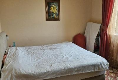 Ciopani vila 5 camere teren 4000 mp - 17