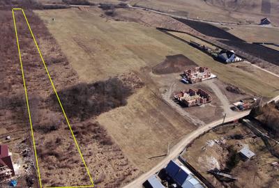 Teren 4640 mp Piatra Neamt - 1