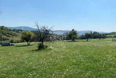 Teren 11.000 mp-ideal cabana/ferma-Unirea-Valea Slatinitei - 2