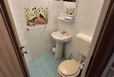 Piața Muncii 3 camere decomandat de inchiriat - 11