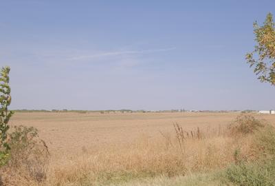 5,7 Ha. vav de Dovinot - Mihailesti, teren intravilan cu deschidere la DN6 - 12