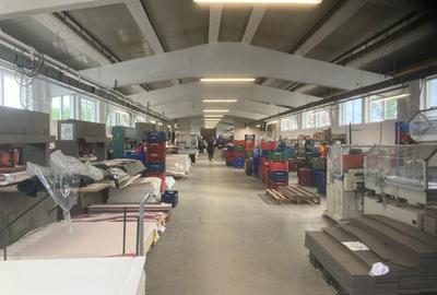 2 Hale industriale din beton, Oras Pecica - 2