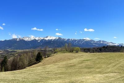 Teren 1550 mp, sat Pestera, zona Bran-Moieciu, jud. Brasov - 6