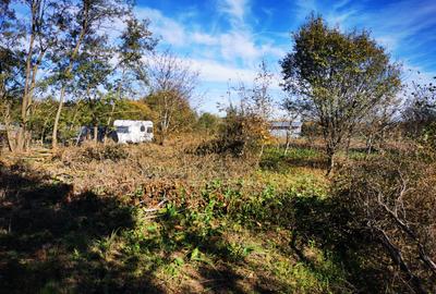 Teren Generos cu Casa in Gruiu - Snagov - 5