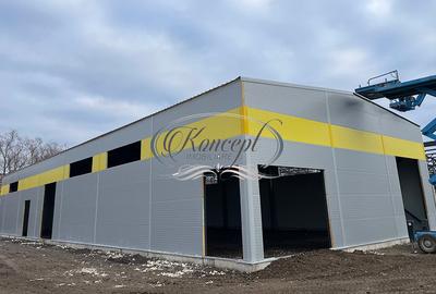 Hala noua cu acces TIR in Baciu - 3