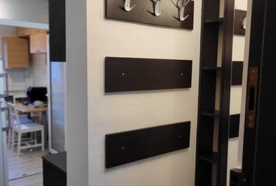 De inchiriat Apartament 2 camere Tineretului sec.3 - 3