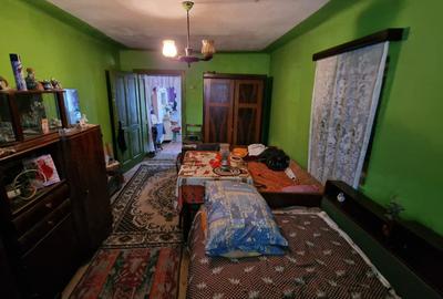 CASA INDIVIDUALA 4 CAMERE CU TEREN 2984 MP SAT NOU-ROSIA - 9