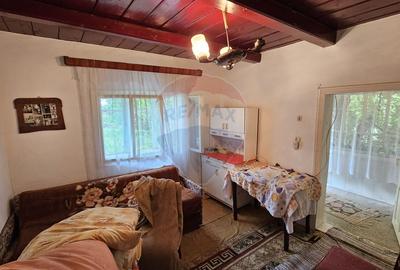 Casa  de vânzare cu teren 9200 mp, Pădureni-Șendriceni, Botoșani - 8