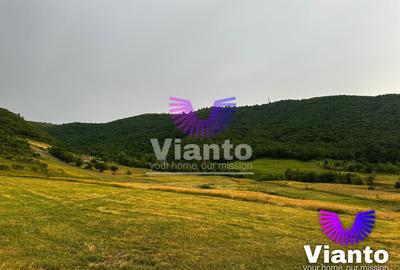 Teren agricol extravilan de 3408 mp, în Gura Râului