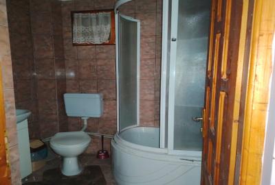 Proprietate de vacanta Valea Oltului - BREZOI - 17