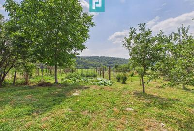 2 case cu teren de 2253 mp în Archiș - 13