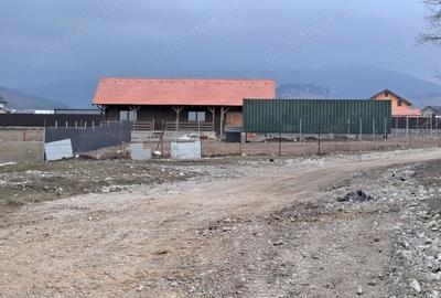 Teren intravilan 1450 mp – Carpiniș , Ideal pentru casă de locuit - 12