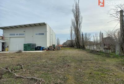 Hala industriala 572 mp, teren 1.615 mp - Zona Sud Timisoara - 1