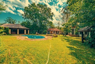 Casa superba cu vedere la lac in Izvorani – piscina, natura,si potential imens! - 18