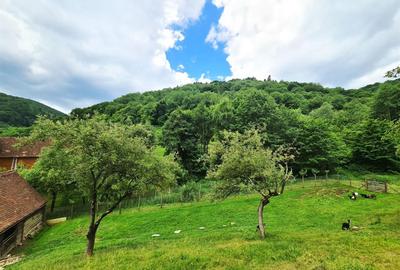 Casa deosebita \ vanzare \ Marginimea Sibiului \ Fantanele - 1