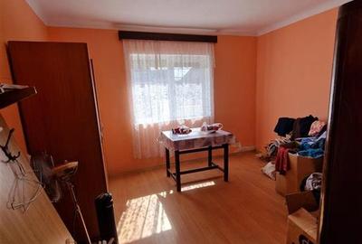 Teren mare cu 2 case in Sabolciu, com. Sacadat - 2