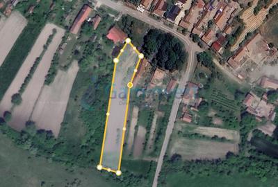 Teren intravilan de vanzare in Niuved, loc Tamaseu, Bihor - 2