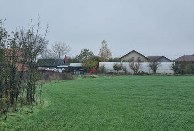 🏡 Teren de vânzare – Ciorogârla, Ilfov - 1