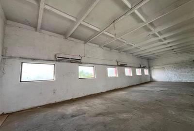 Lugoj, Hala + Birou 220 Mp.,  Zona Timisorii - 9