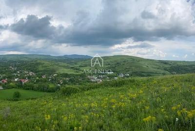 Domeniu 15.900 mp în Fințești | Casă + Investiție Dealu Mare - 17
