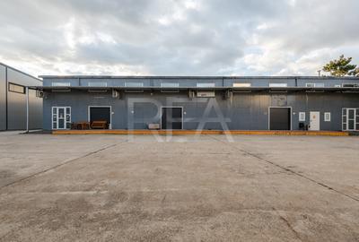 Hale depozitare/productie + Cladire de birouri | Teren 4213 m.p. | Tunari - 36