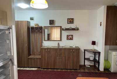 Ap 2 camere Doamna Stanca parter,parcare,balcon - 3