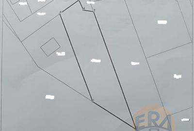 Teren agricol intravilan de 1198 mp, în Tărian