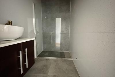 Pensiune cu piscina in constructie - 6