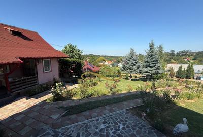 Casa de vanzare in Magura Bacau - 38