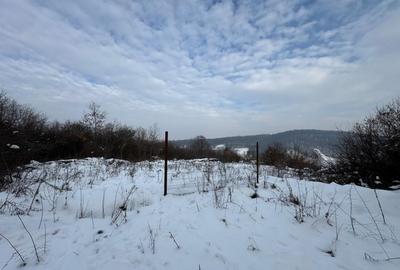 Teren de vanzare Valea Sinaslau Vararea Events - 1