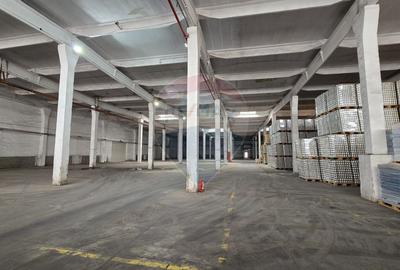Spațiu industrial, de 6,500 mp, în Nord
