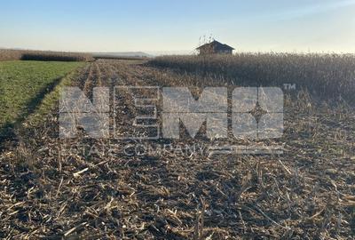 Teren Frătăuții Vechi | 14 Ari | 25.000 EUR - 1