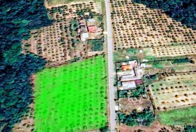 Teren vanzare, 8000 m2, Danicei, Cuca, Arges - 4