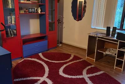 Casa de vanzare Baile Govora oportunitate investitie - 12