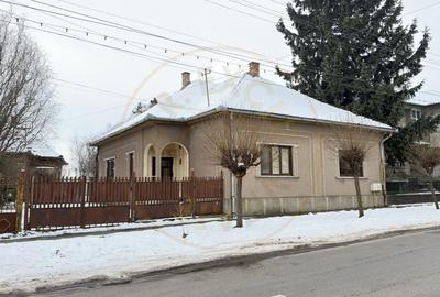 Proprietate cu 2 case | Teren 546 mp | Str. Albinelor Nr.18 - Carei - 1