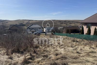 Teren pentru constructie Chinteni, zona Lacurilor front la 2 strazi - 6