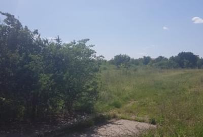 Teren intravilan 2500 mp , deschidere 24 m - 4