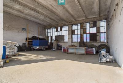 Complex industrial cu hale și teren  în Orțișoara - 14
